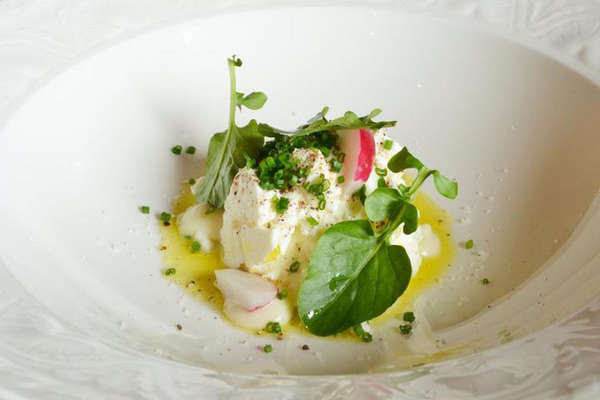 Gefüllter Feta, Blattspinat, Mango-Dressing